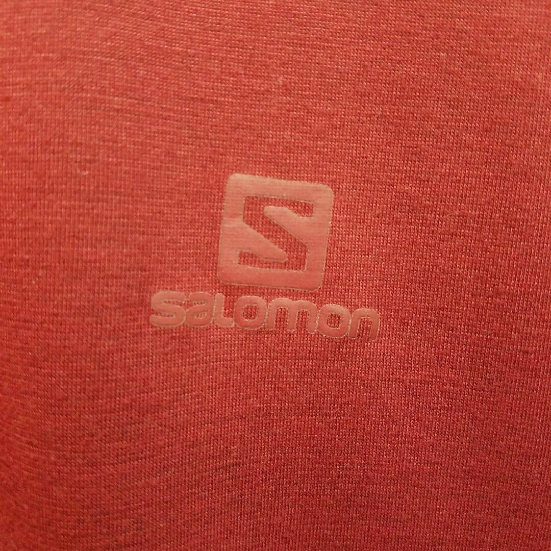 SALOMON(サロモン)のSALOMON Brand Ikon Printed LS Jersey Tee メンズのトップス(Tシャツ/カットソー(七分/長袖))の商品写真