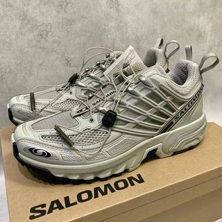 サロモン(SALOMON)の26cm 新品正規品 SALOMON ACS PRO シルバーメタリック(スニーカー)