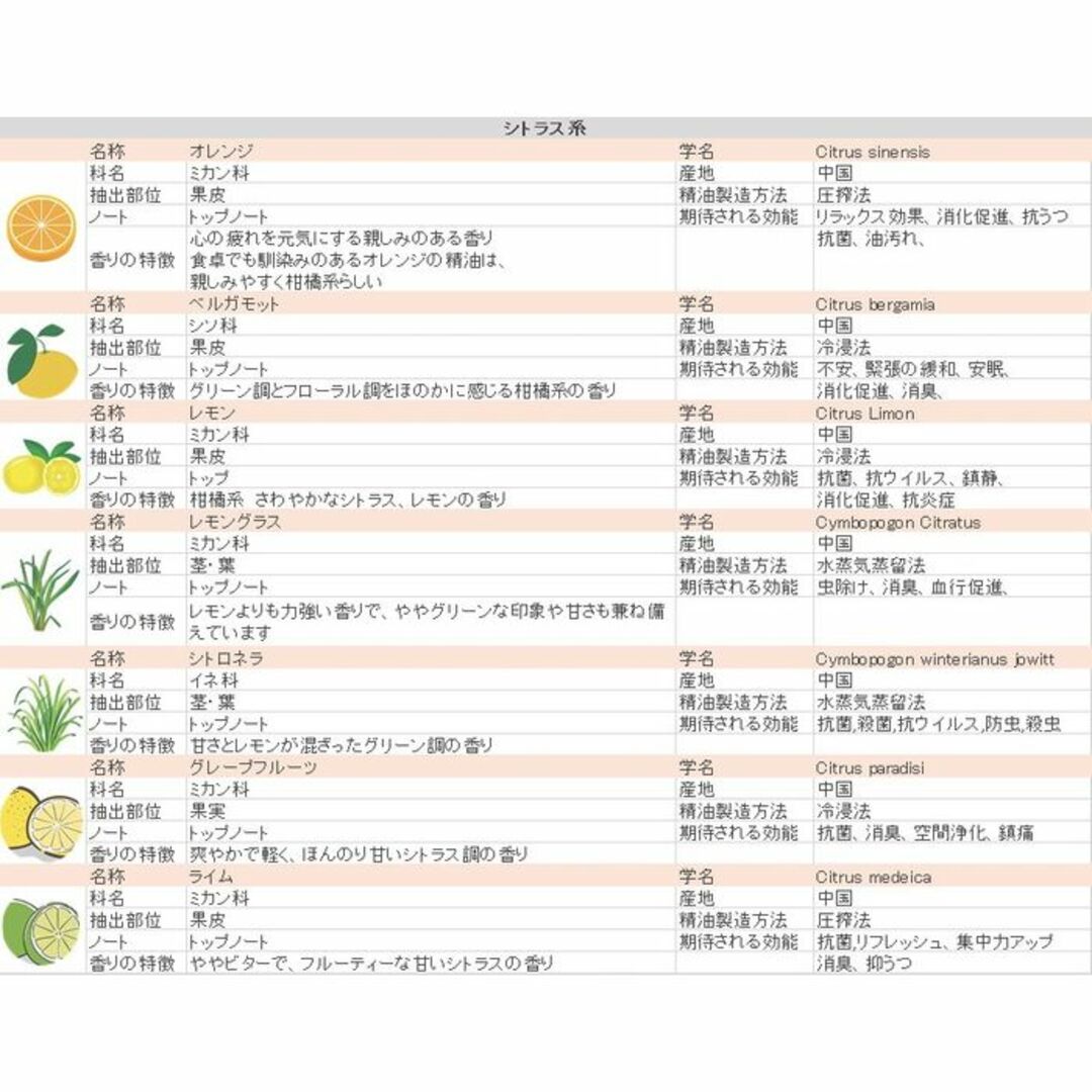 ★5ml×6本★ 精油 アロマオイル セット 加湿器 スポイト付 36種から選択 コスメ/美容のリラクゼーション(エッセンシャルオイル（精油）)の商品写真