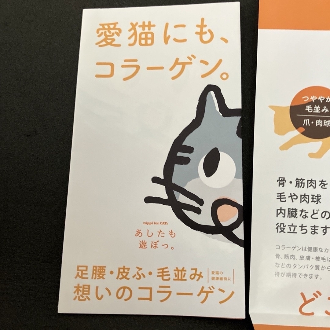 猫用 ニッピ コラーゲンサプリ ネコちゃん用 8袋 いつものフードにかけるだけ その他のペット用品(猫)の商品写真