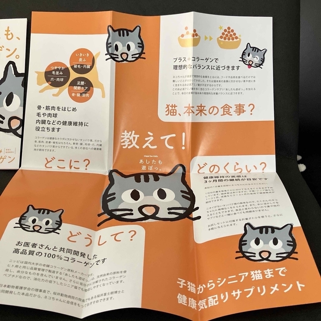 猫用 ニッピ コラーゲンサプリ ネコちゃん用 8袋 いつものフードにかけるだけ その他のペット用品(猫)の商品写真