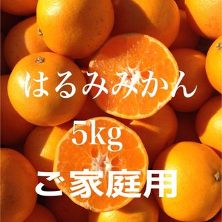 はるみみかん　5kg ご家庭2(フルーツ)