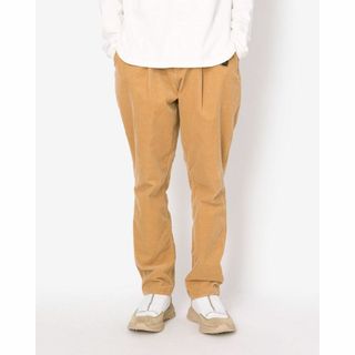 23aw nonnative WALKER EASY PANTS C/P