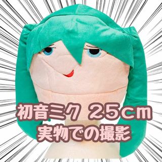 初音ミク　帽子　コスプレ　被り物　25cm　フリーサイズ　 国内【残5限定】(その他)