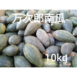 万次郎かぼちゃ　１０kg　６〜８玉　3(野菜)