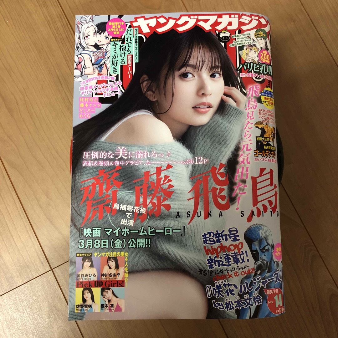 講談社(コウダンシャ)のヤングマガジン 2024年 3/18号 [雑誌] No.14 エンタメ/ホビーの雑誌(アート/エンタメ/ホビー)の商品写真