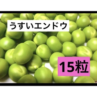 うすいエンドウ グリーンピース 実えんどう豆 15粒(野菜)