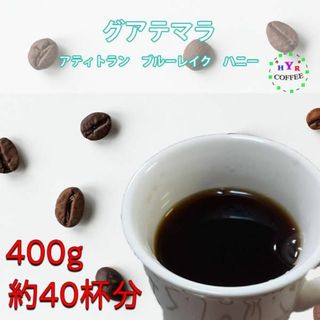 自家焙煎 グアテマラ アティトラン ブルーレイク ハニー 400g (コーヒー)