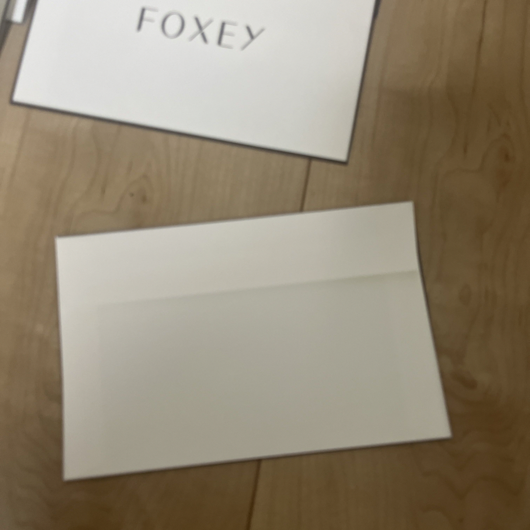 FOXEY(フォクシー)のフォクシー　封筒１０枚 レディースのバッグ(ショップ袋)の商品写真