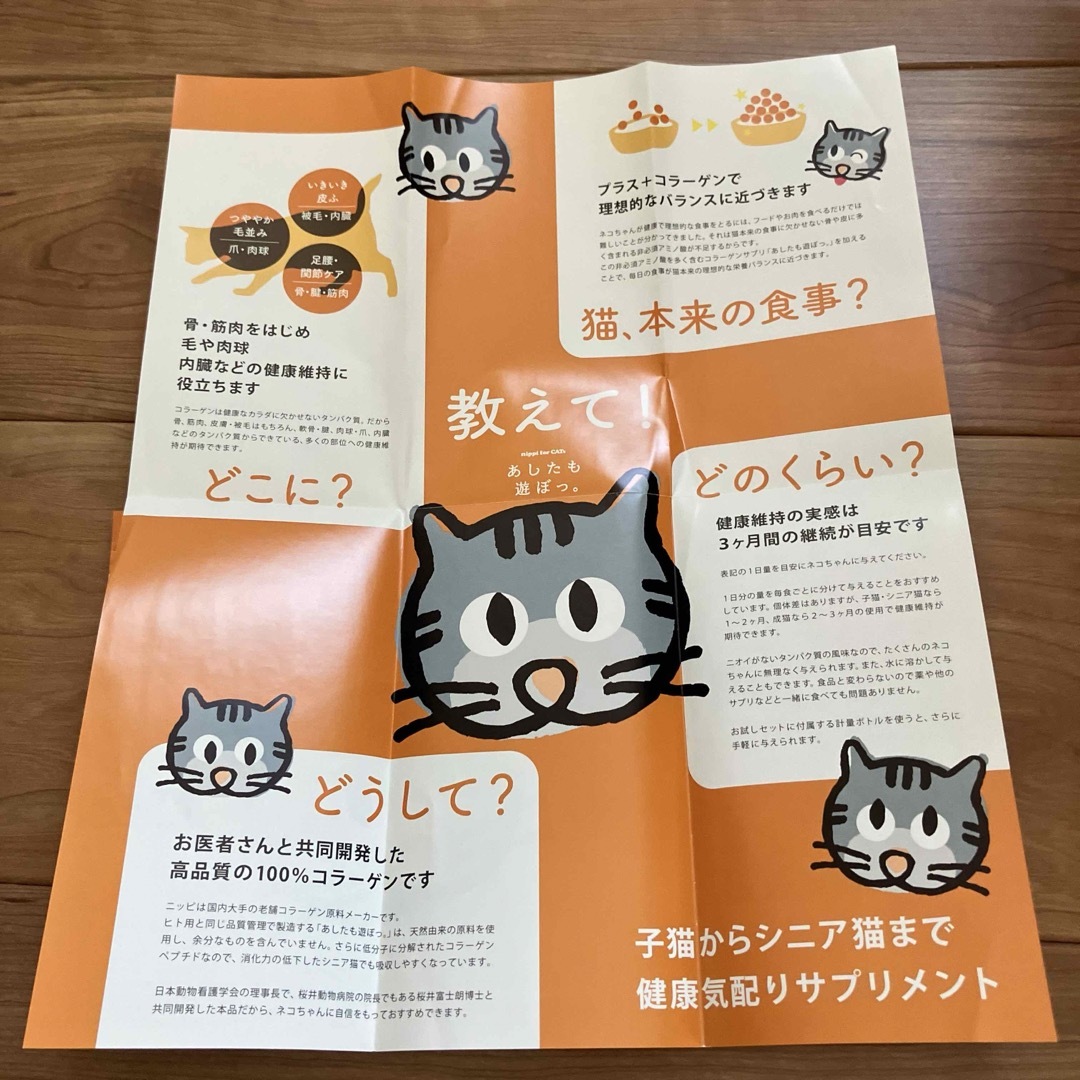 猫用 ニッピ コラーゲンサプリ ネコちゃん用 8袋 いつものフードにかけるだけ その他のペット用品(猫)の商品写真