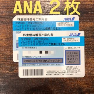 エーエヌエー(ゼンニッポンクウユ)(ANA(全日本空輸))のANA 全日空　株主優待券 2枚(その他)