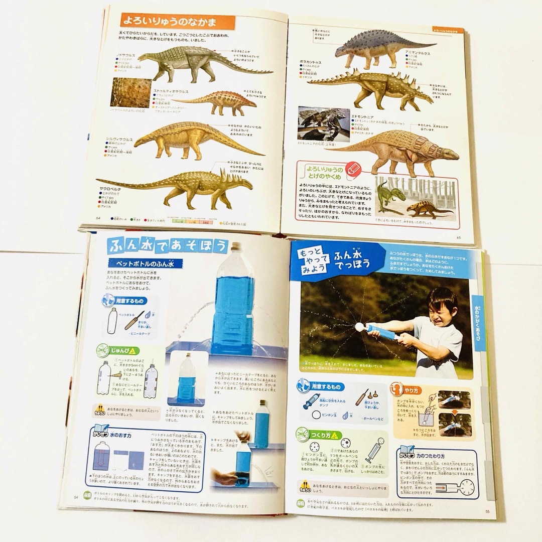 小学館 - 【お買い得】学研 NATURA 小学館 図鑑11冊セットの通販 小学館 - 【お買い得】学研 NATURA 小学館 図鑑11冊セットの通販