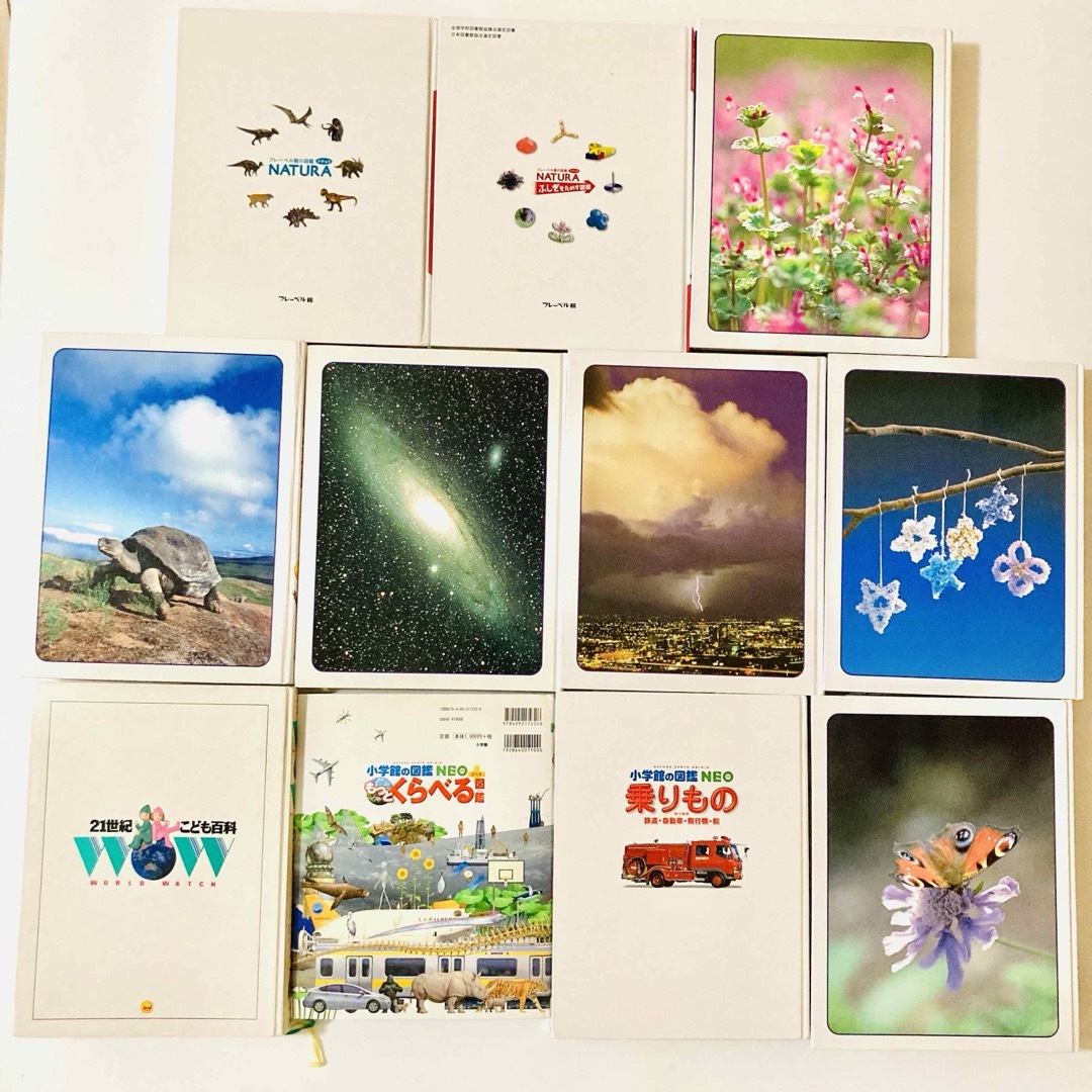 小学館 - 【お買い得】学研 NATURA 小学館 図鑑11冊セットの通販 小学館 - 【お買い得】学研 NATURA 小学館 図鑑11冊セットの通販
