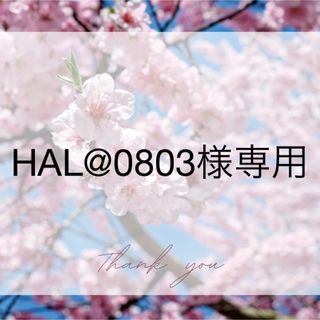 HAL@0803様専用(その他)