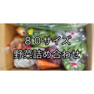 【大人気！！】80サイズ　野菜詰め合わせ　野菜ボックス　茨城県産(野菜)