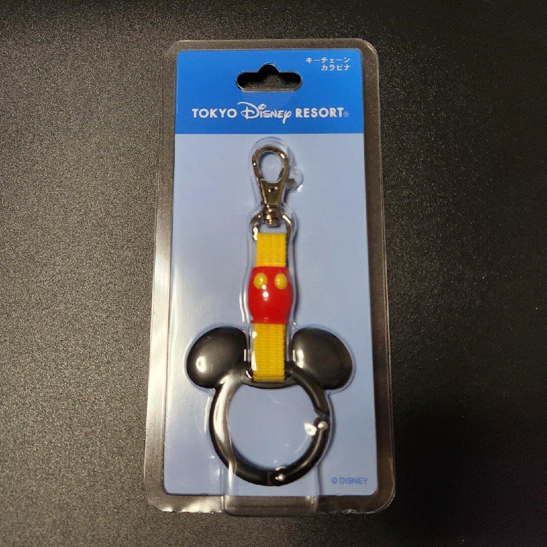 Disney(ディズニー)のパークお品切中　ディズニーリゾートライン　つり革　カラビナ付き　キーチェーン エンタメ/ホビーのアニメグッズ(キーホルダー)の商品写真