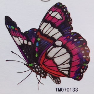 タトゥーシール ワンポイント 虹色の揚羽蝶 レインボーバタフライ 蝶々 アゲハ蝶(アクセサリー)
