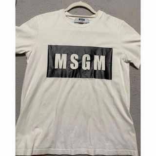 エムエスジイエム(MSGM)のMSGM エムエスジーエム ボックスロゴ Tシャツ(Tシャツ(半袖/袖なし))