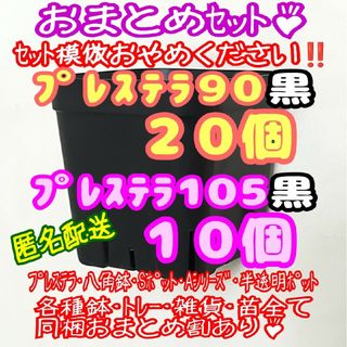 【スリット鉢】プレステラ90黒20個・105黒10個 多肉植物 プラ鉢(プランター)