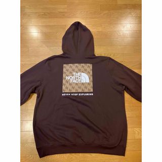 ザノースフェイス(THE NORTH FACE)のTHE NORTH FACE パーカー プルオーバー 超超大きいsize XXL(パーカー)