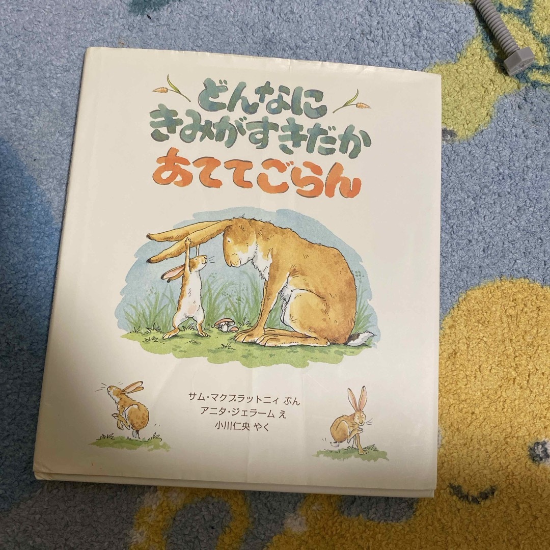 どんなにきみがすきだかあててごらん エンタメ/ホビーの本(絵本/児童書)の商品写真