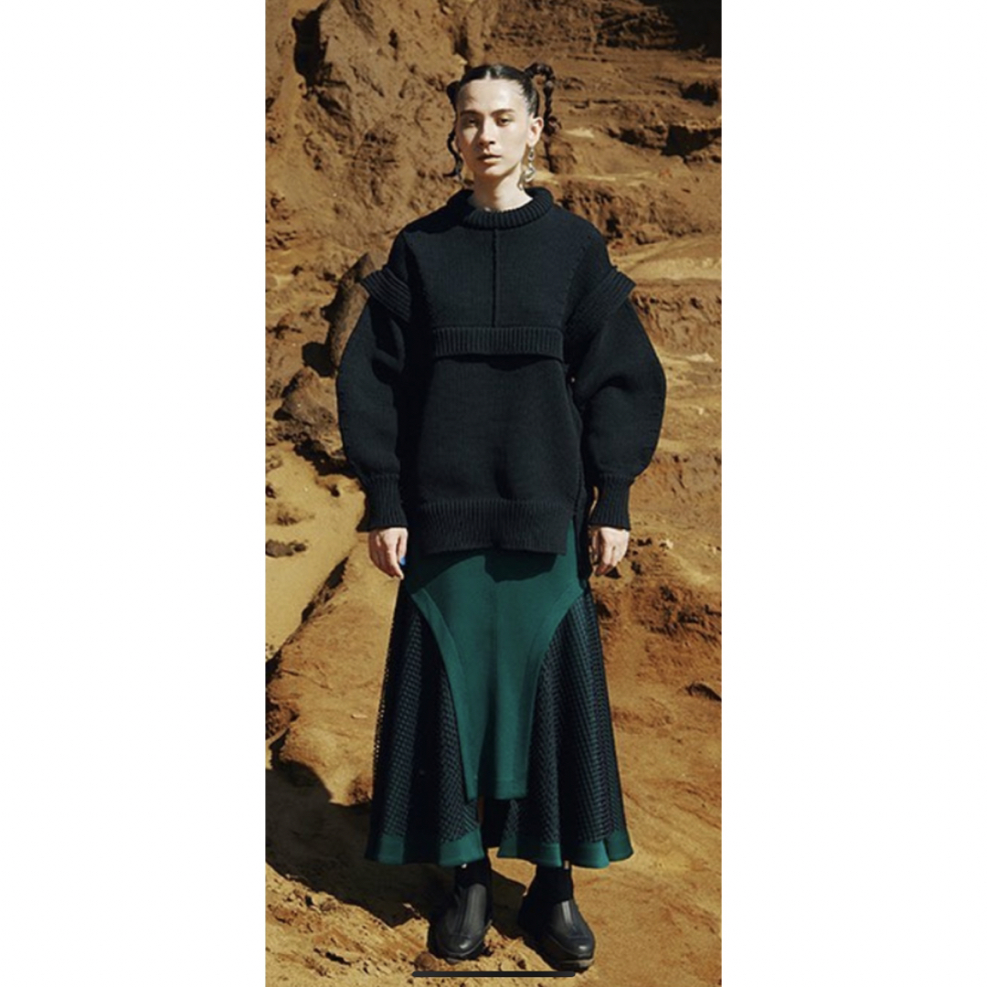 UN3D.(アンスリード)のアンスリード　メッシュロングスカート レディースのスカート(ロングスカート)の商品写真
