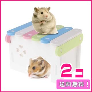 1256 四角ハウス カラフル 中サイズ 2個 ハムスター(小動物)