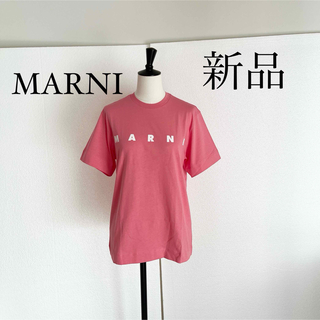 MARNI マルニ ロゴ入り半袖Tシャツ　カットソー　XSサイズ　ピンク