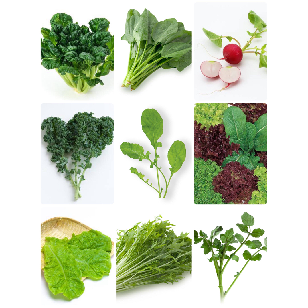 【野菜の種】お好きなものを7種類！ 食品/飲料/酒の食品(野菜)の商品写真