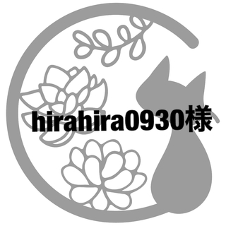 hirahira0930様専用(その他)