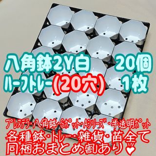 カネヤ八角鉢2Y白20個+ハーフトレー1枚 プラ鉢スリット鉢プレステラ多肉植物(プランター)