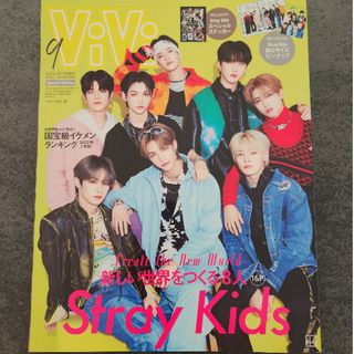 ストレイキッズ(Stray Kids)のStraykids ViVi 雑誌(アイドルグッズ)