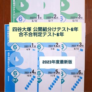 【2023年度最新版】四谷大塚公開組分けテスト6年生＋合不合判定テスト（男子）(語学/参考書)