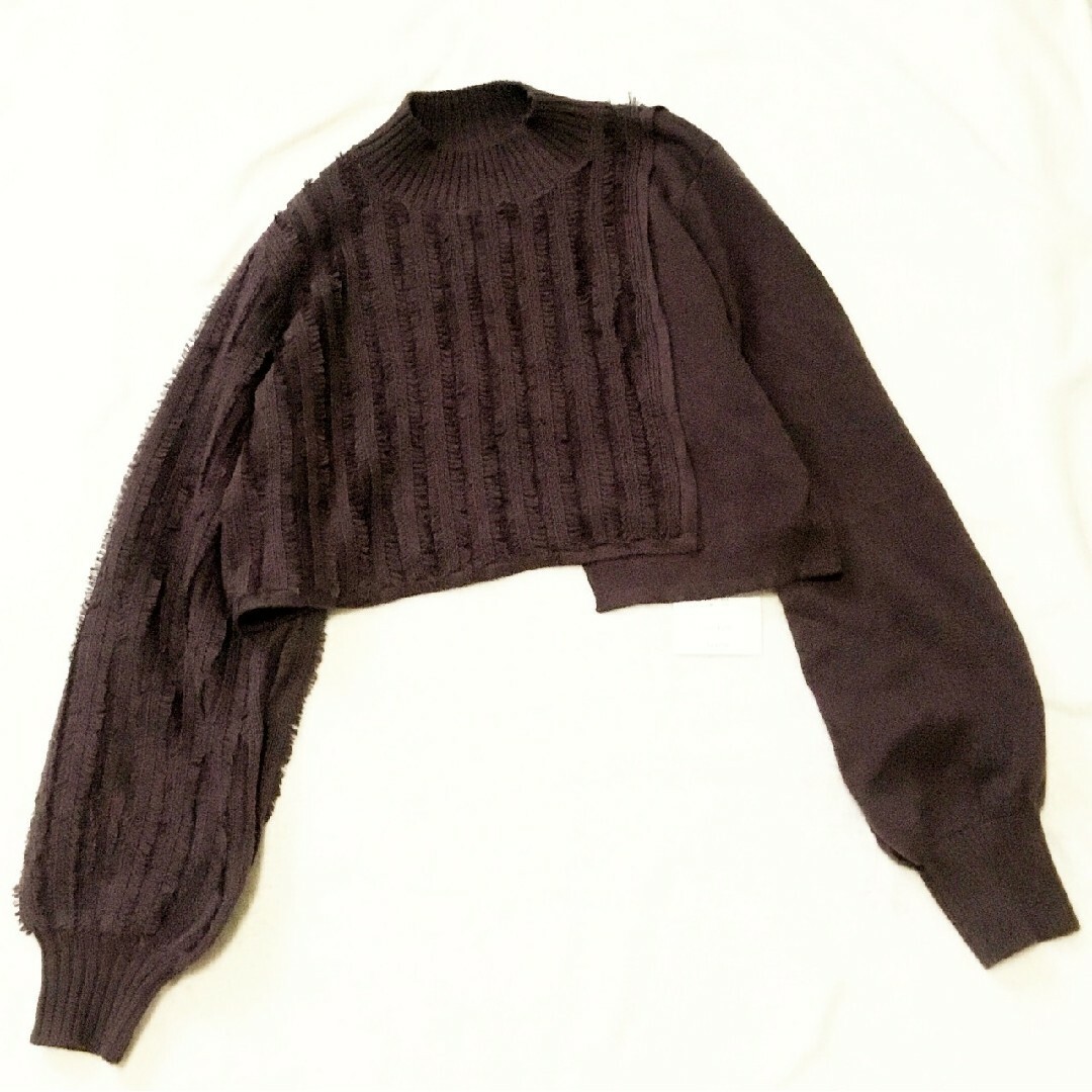 Ameri VINTAGE(アメリヴィンテージ)の新品 &g’aime FRINGE SHORT KNIT TOPS レディースのトップス(ニット/セーター)の商品写真