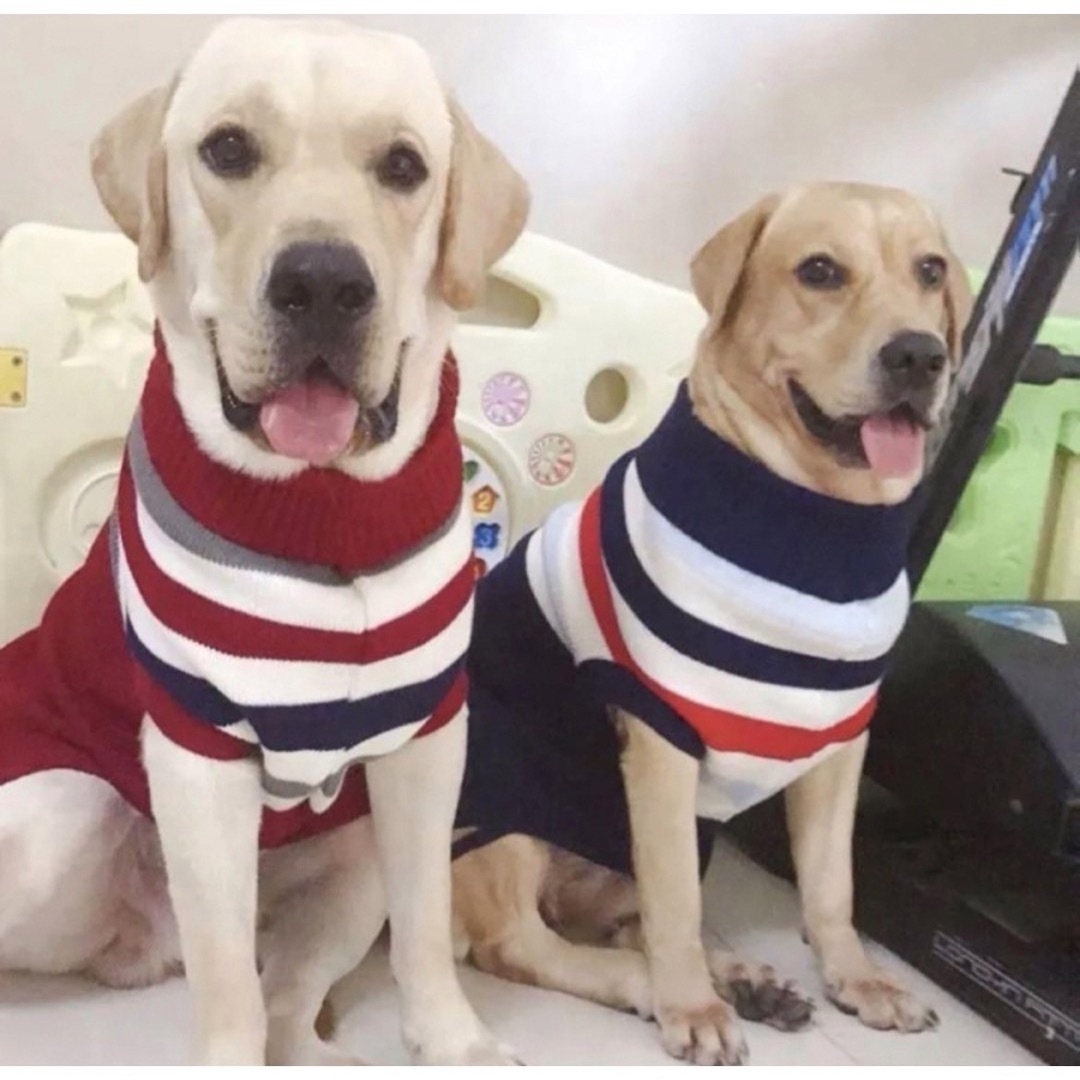 【ペット用】大型犬用 犬服 ハイネックニット セーター ワインレッド 6XL その他のペット用品(犬)の商品写真