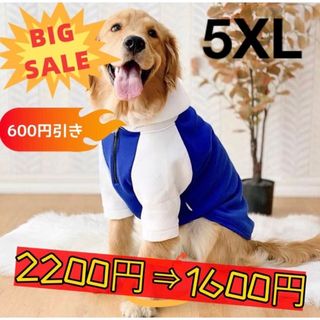 【ペット用】大型犬用　犬服　冬用　裏起毛　厚手パーカー　ブルー&ホワイト　5XL(犬)