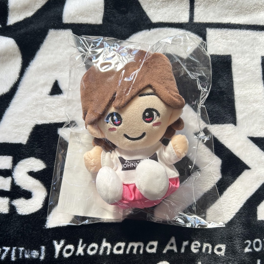 道枝駿佑 ちびぬい 関西ジャニーズJr. 添い 道枝駿佑 ちびぬい 関西ジャニーズJr. 添い