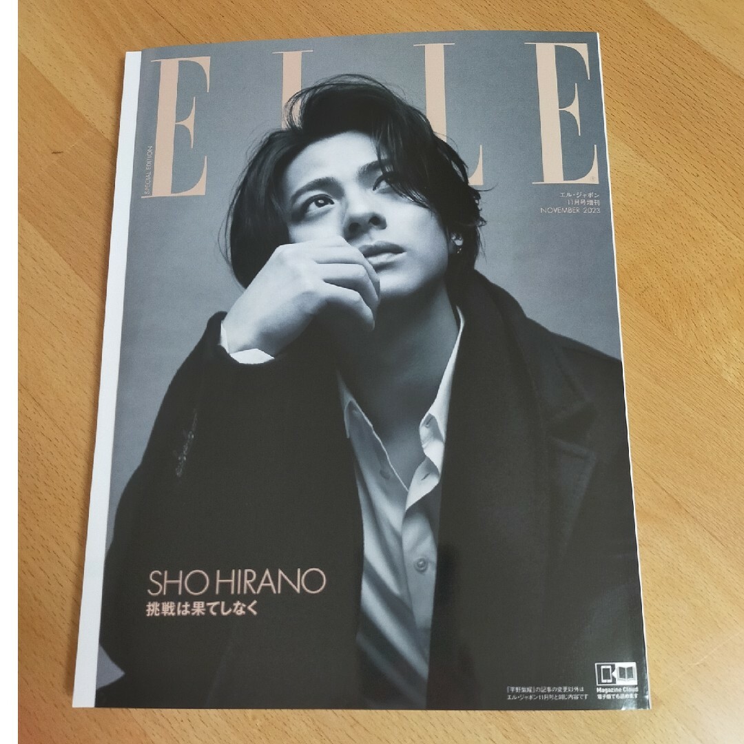 増刊 ELLE JAPON (エル・ジャポン) 特別版 2023年 11月号 エンタメ/ホビーの雑誌(生活/健康)の商品写真