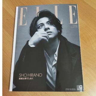 増刊 ELLE JAPON (エル・ジャポン) 特別版 2023年 11月号