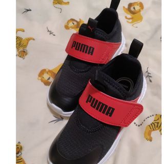 プーマ(PUMA)のPUMA プーマ ベビー プーマ エボルブ スリッポン スニーカー 16cm(スニーカー)