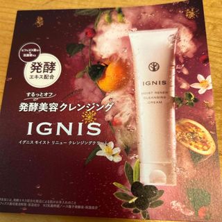 イグニス(IGNIS)のIGNIS♢クレンジング(クレンジング/メイク落とし)