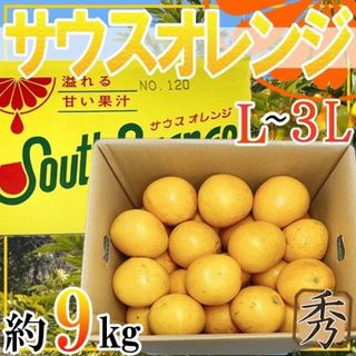 鹿児島県産　サウスオレンジ　秀品　L-3L　約9kg(フルーツ)