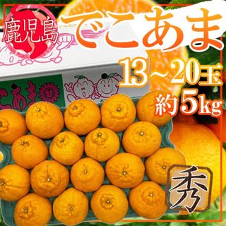 鹿児島県産　でこあま　13〜20玉　約5kg(フルーツ)