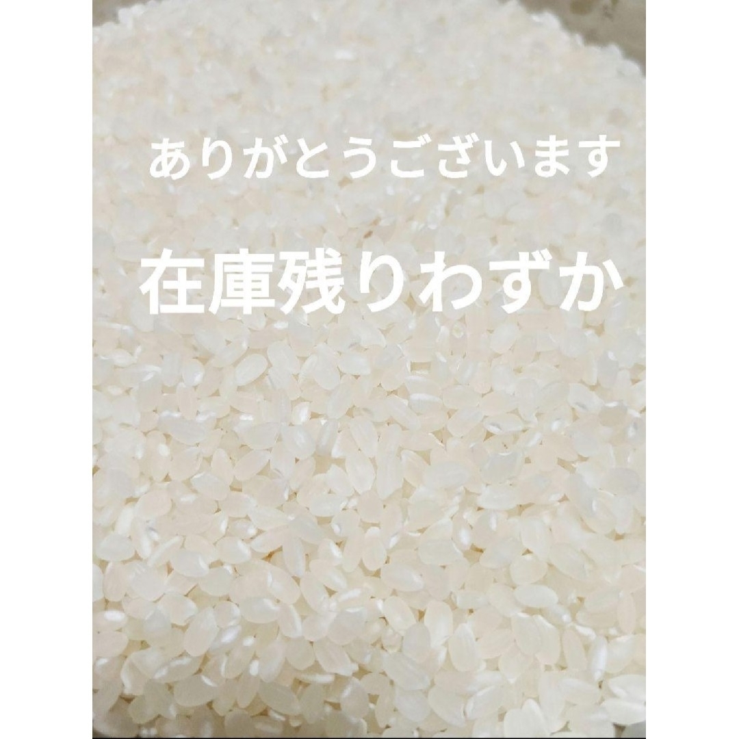 令和５年　単一原料米　新米　コシヒカリ　島根県産　期間限定　1.5kg 食品/飲料/酒の食品(米/穀物)の商品写真