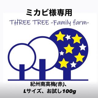 ミカビ様専用!紀州南高梅  無添加昔ながらのすっぱい赤紫蘇梅干しL 、100g(漬物)