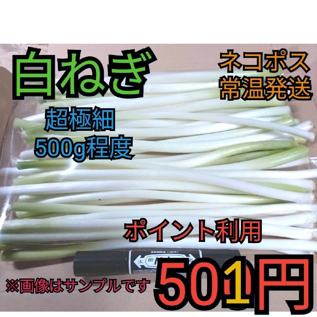 ポイント利用※白ネギ（細い）ネコポス常温発送５００g程度 食品/飲料/酒の食品(野菜)の商品写真