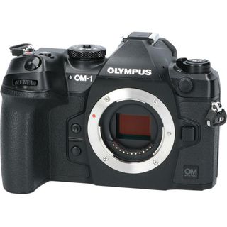 オリンパス(OLYMPUS)のＯＬＹＭＰＵＳ　ＯＭ　ＳＹＳＴＥＭ　ＯＭ－１(デジタル一眼)