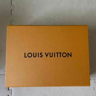 LOUIS VULTTON 箱(その他)