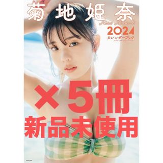 菊地姫奈 2024カレンダーブック ５冊セット(アイドルグッズ)