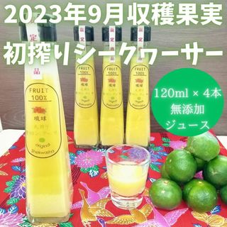 初搾り 沖縄産 青切り シークワーサー 120ml x 4本 お土産 ジュース(ソフトドリンク)